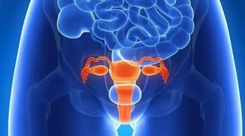 愛巢測—AMH居家檢測，女性健康不容忽視的檢測項目