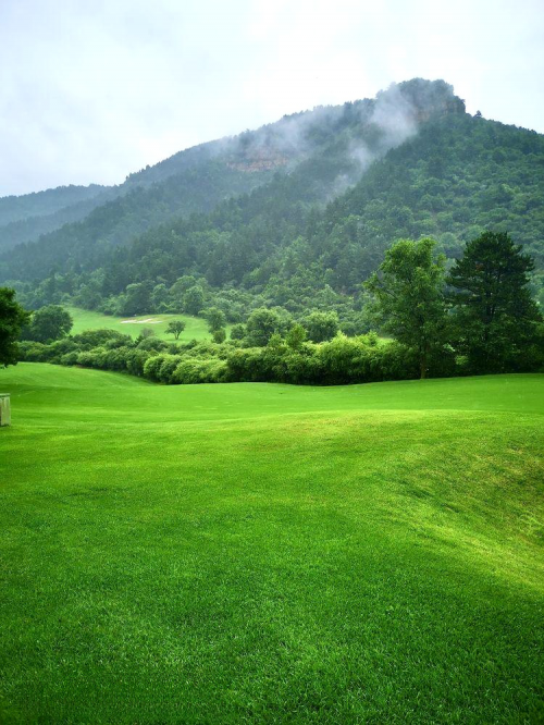 山西吕梁·文水苍儿会