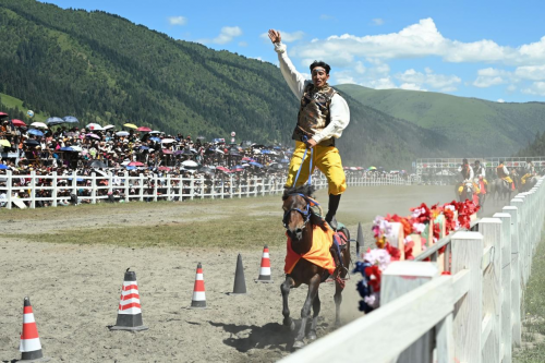 牧民与牦牛“本色出演”：2026甘孜山地文化旅游节在玉科草原震撼启幕