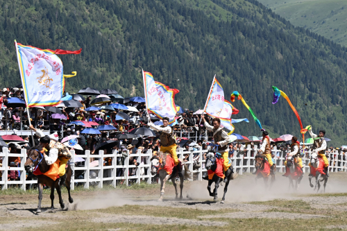 牧民与牦牛“本色出演”：2026甘孜山地文化旅游节在玉科草原震撼启幕